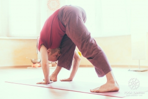 Einzelunterricht Yoga Chemnitz