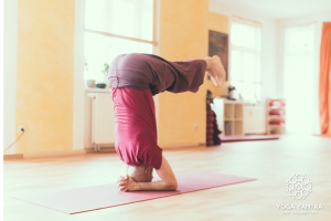 Einzelunterricht Yoga Chemnitz